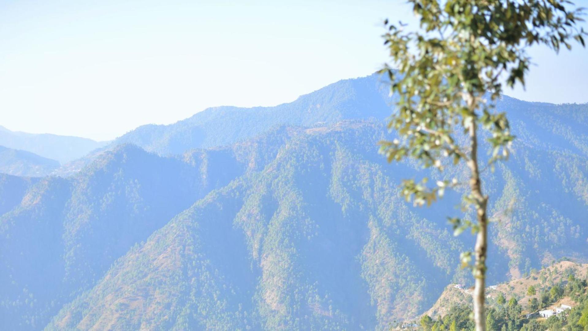Haut Monde King'S Paradise Resort Kanatal Dış mekan fotoğraf