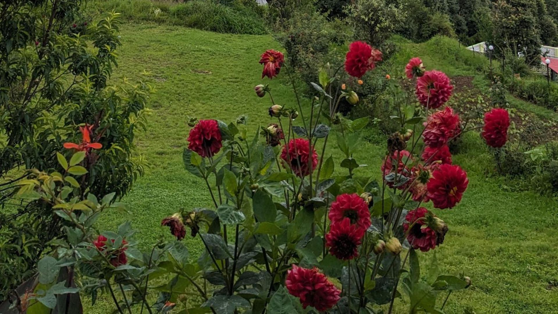 Haut Monde King'S Paradise Resort Kanatal Dış mekan fotoğraf