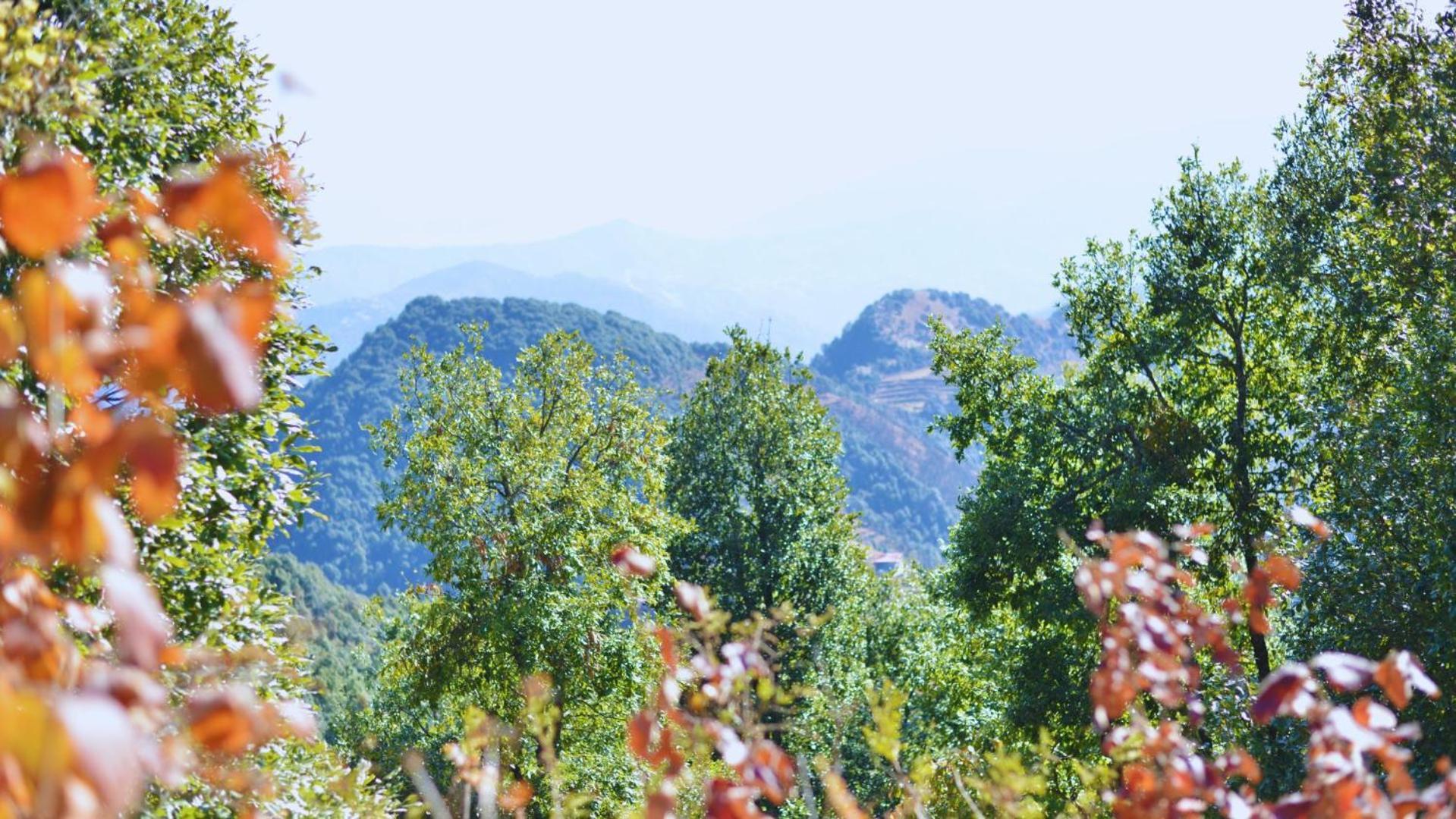 Haut Monde King'S Paradise Resort Kanatal Dış mekan fotoğraf